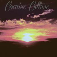 Cocaine Culture 2.jpg