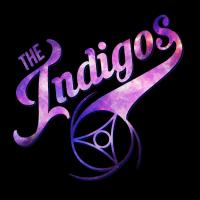The Indigos 1.jpg